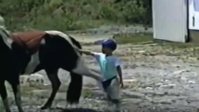 Horse behavior and handling