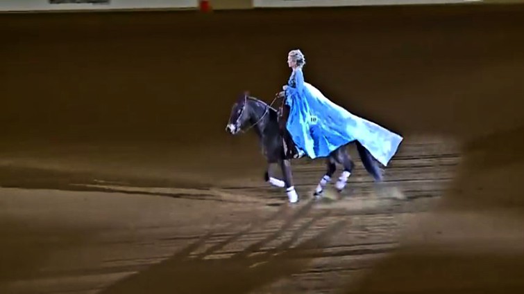 Wimpys Top Model reining horse