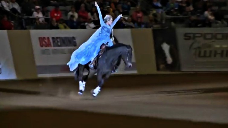 Kentucky Reining Cup championship