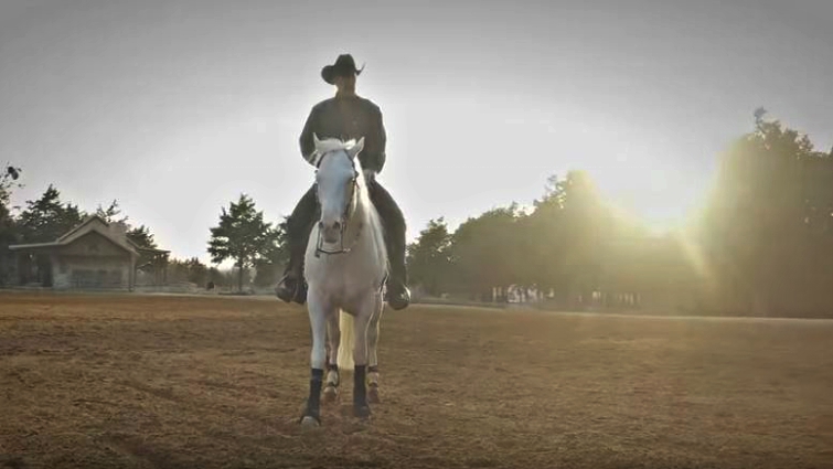 Dun It In Platinum stallion close-up