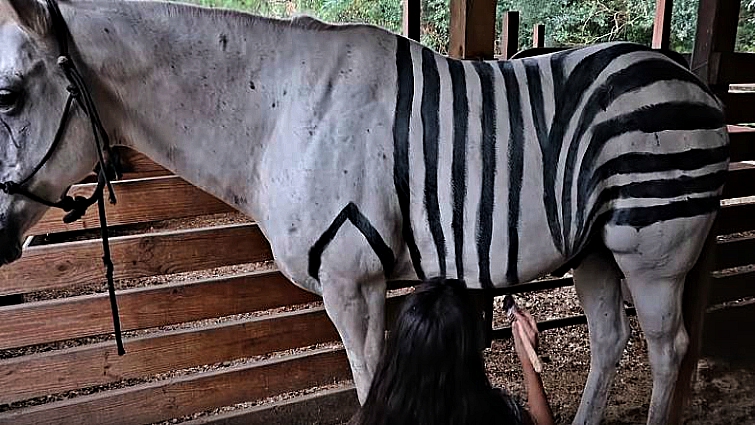 Horse Halloween costume closeup