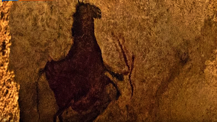 Horse DNA structure