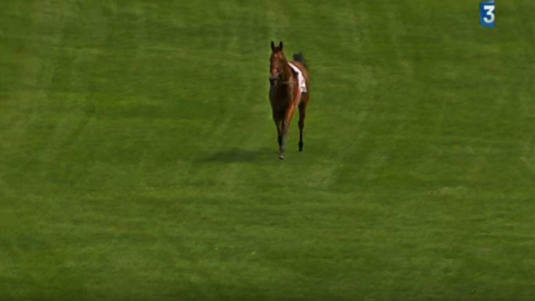 Runaway racehorse bolting from track