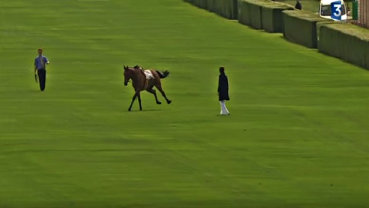 Horse running away from handlers