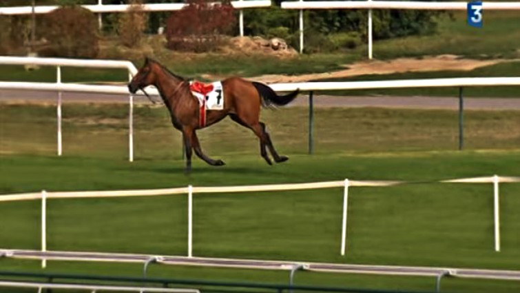 Dramatic moment of horse escape