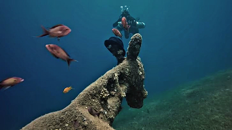 Underwater donkey statue with hat