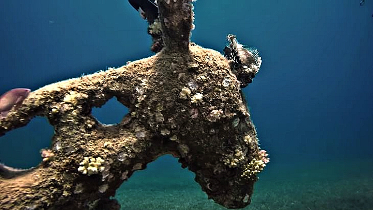 Fish and crustaceans around underwater sculpture