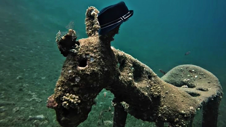 Detailed view of underwater donkey statue