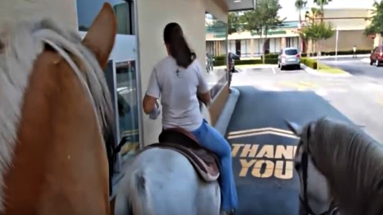 Horse at McDonald's window