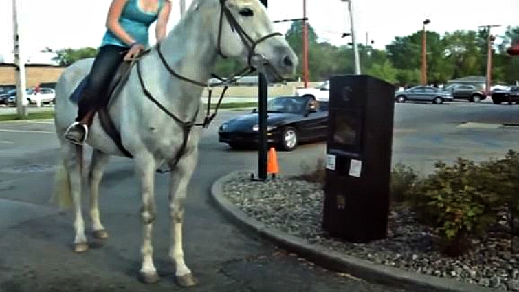 Staff reaction to horse drive-thru