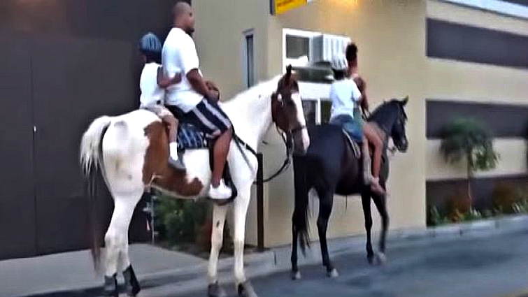 Horse enjoying the experience