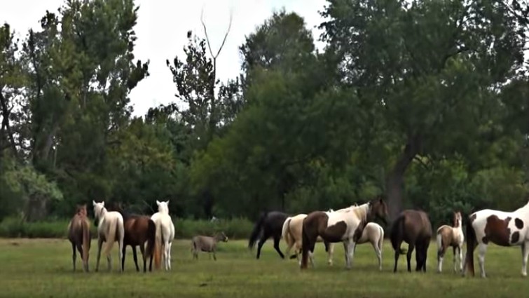 This image has an empty alt attribute; its file name is dtwk6.jpg