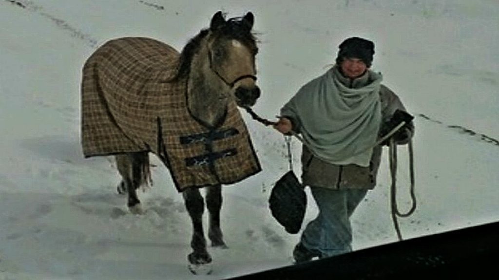 Rescuer and horse after the snowstorm mission