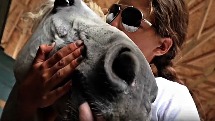 Tribute to beloved horse