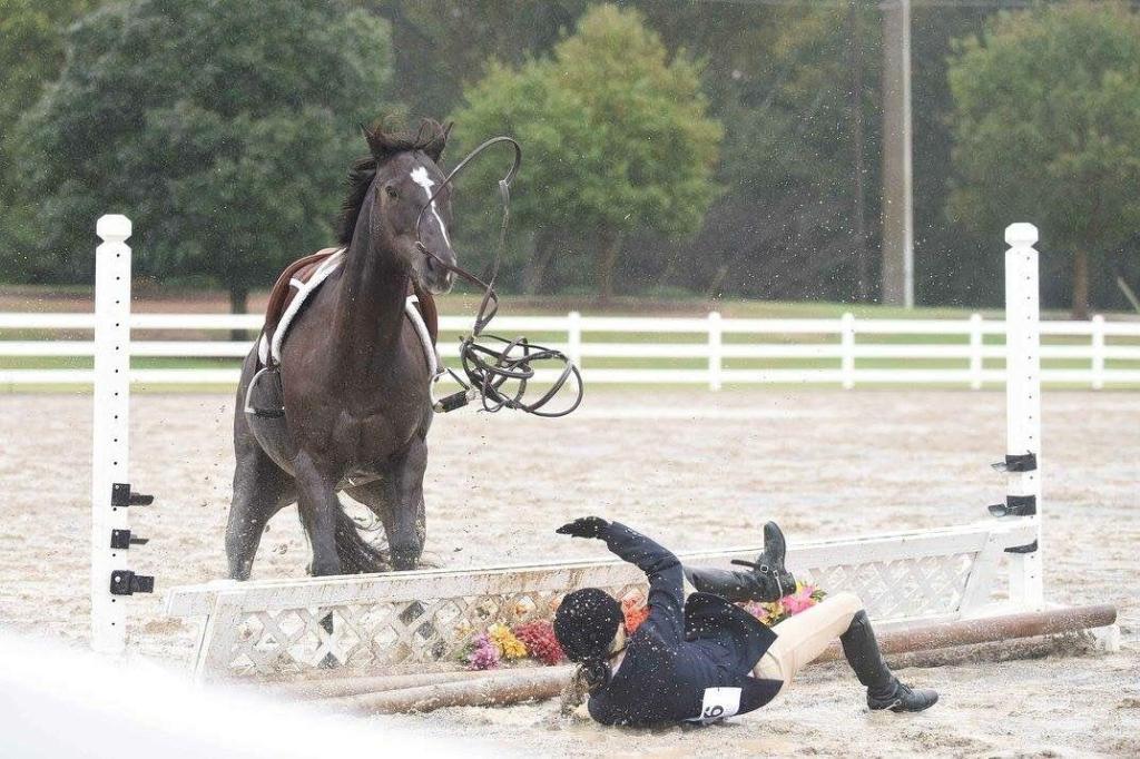 This image has an empty alt attribute; its file name is ef7c112e203d4450d215554a564ddfef-1024x682.jpg