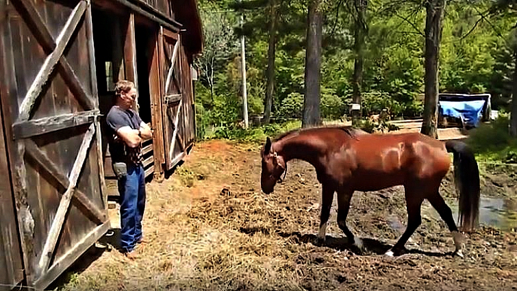 Electric fence lesson learned