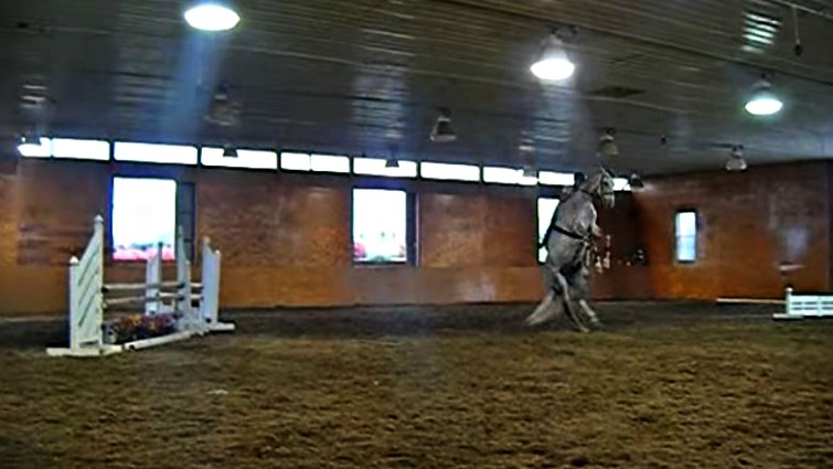 Rider and horse bonding after lesson