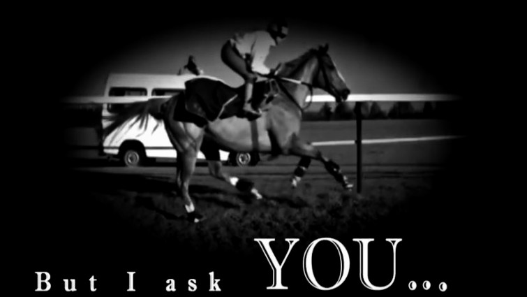 Horse riding dedication