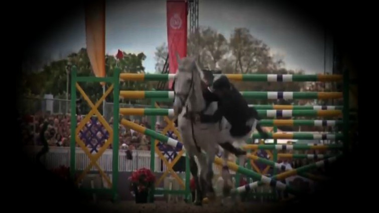 Equestrian sport reality