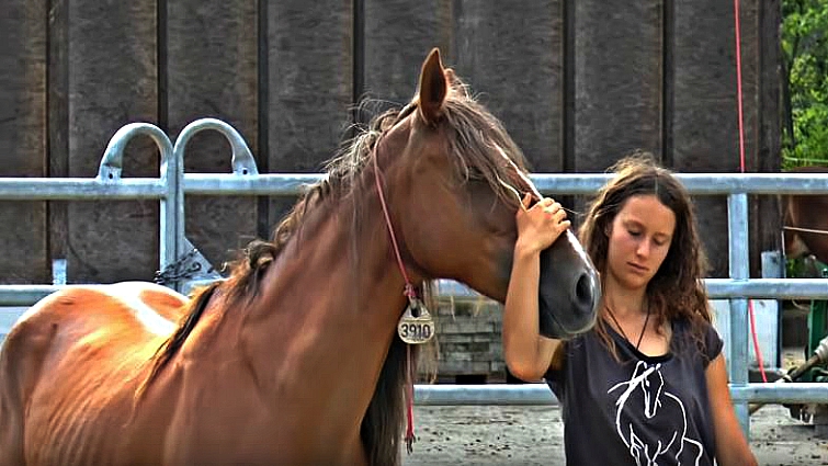 Feenja building confidence in the round pen