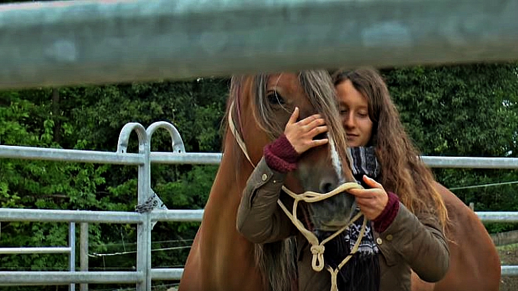 Feenja the mustang showing progress with handlers