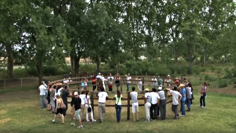 Horse and riders performing in a circle with audience