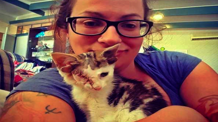 Frankenkitten recovering at the shelter