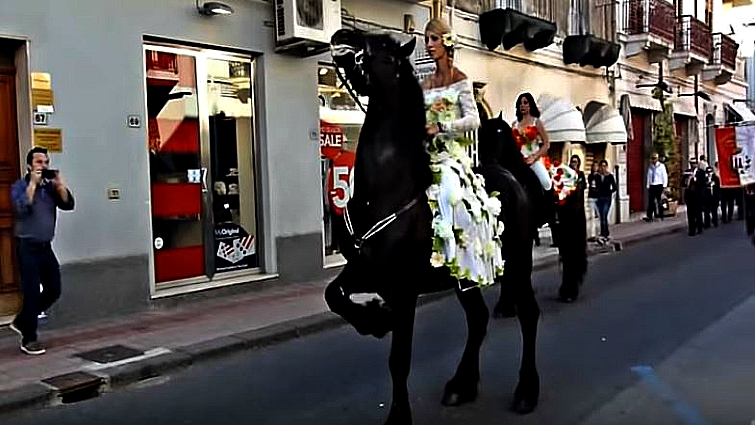 Friesian horse in Italy