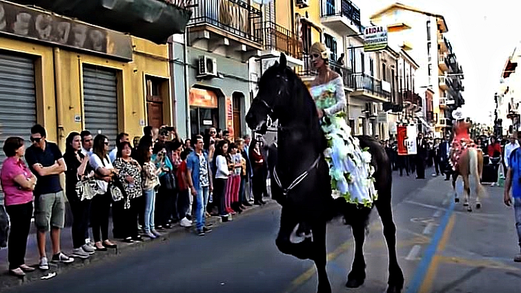 Friesian horse breed showcase