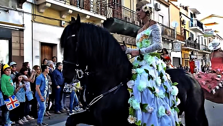 Friesian horse grace and beauty