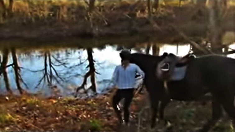Horse owner training horse with water