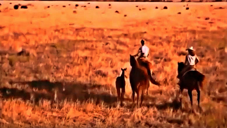Rider enjoying peaceful moment with horse