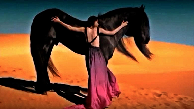 Wild horses running freely together