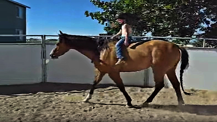 Young girl riding horse bareback
