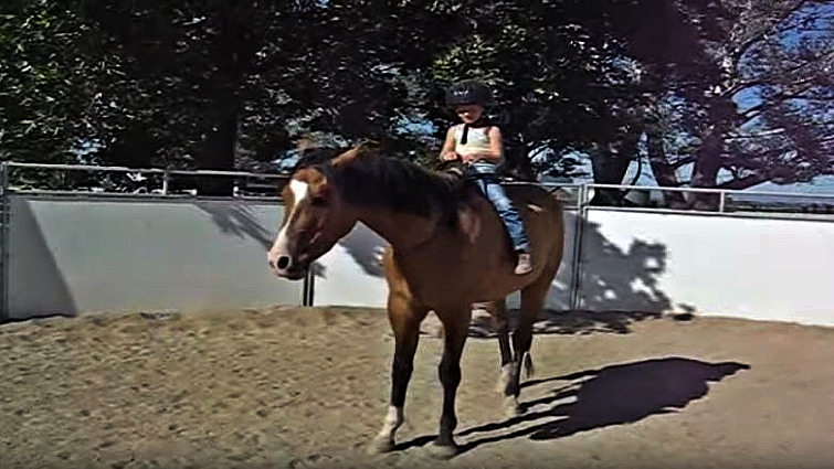 Fearless young rider on Quarter Horse