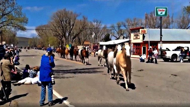 Herd of horses galloping together