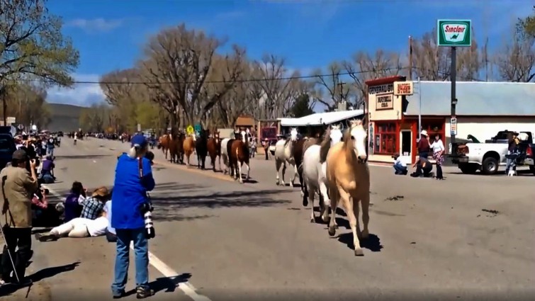 Spectacular view of the horse herd