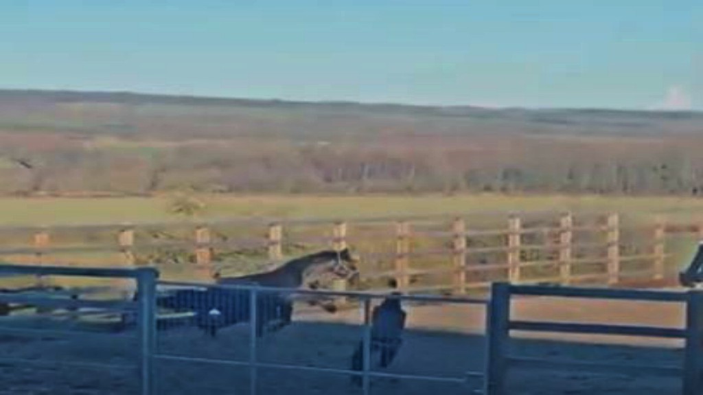 This image has an empty alt attribute; its file name is gdap3.jpg