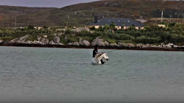 Horse fishing adventure