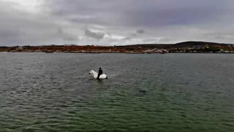 Connemara Pony fishing