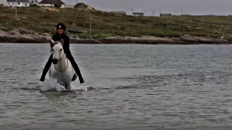 Horse and rider fishing in Ireland