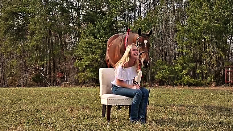 Teen equestrian show horse