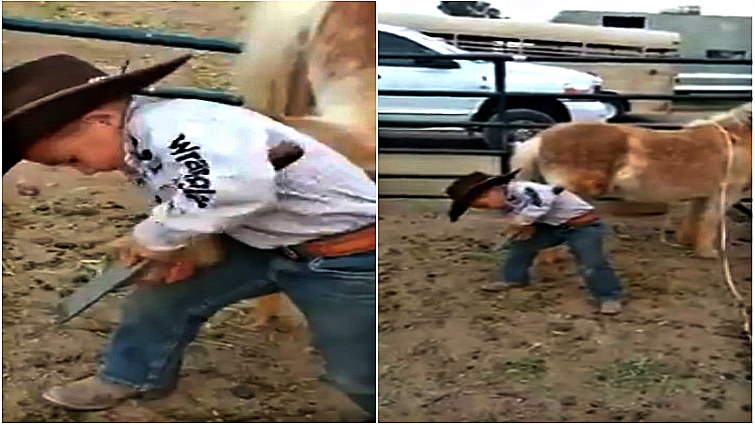 Young farrier at work