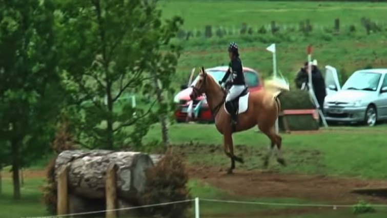 Horse and rider at event
