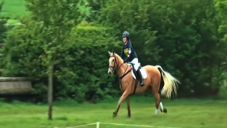 Rider training horse