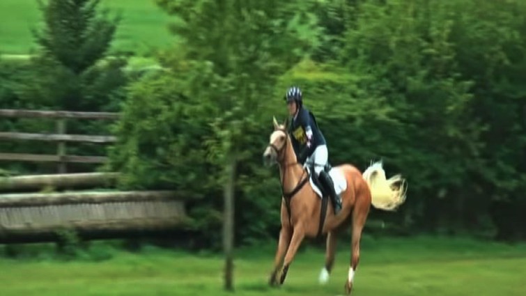 Horse performing at event