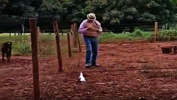 Respecting horse personal space
