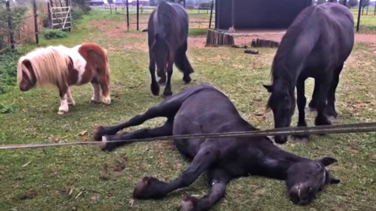 This image has an empty alt attribute; its file name is hefa3.jpg