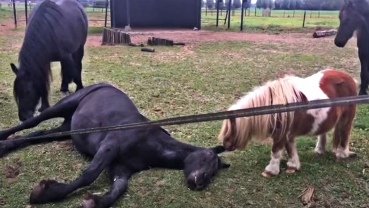 This image has an empty alt attribute; its file name is hefa5.jpg