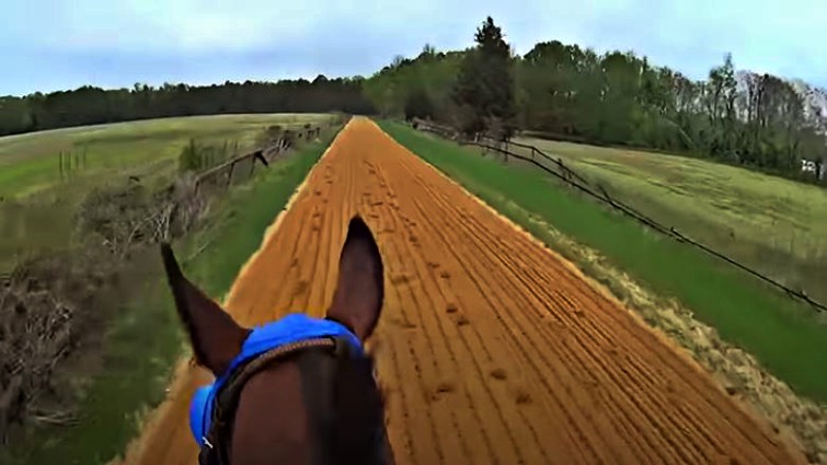 This image has an empty alt attribute; its file name is hfag3.jpg